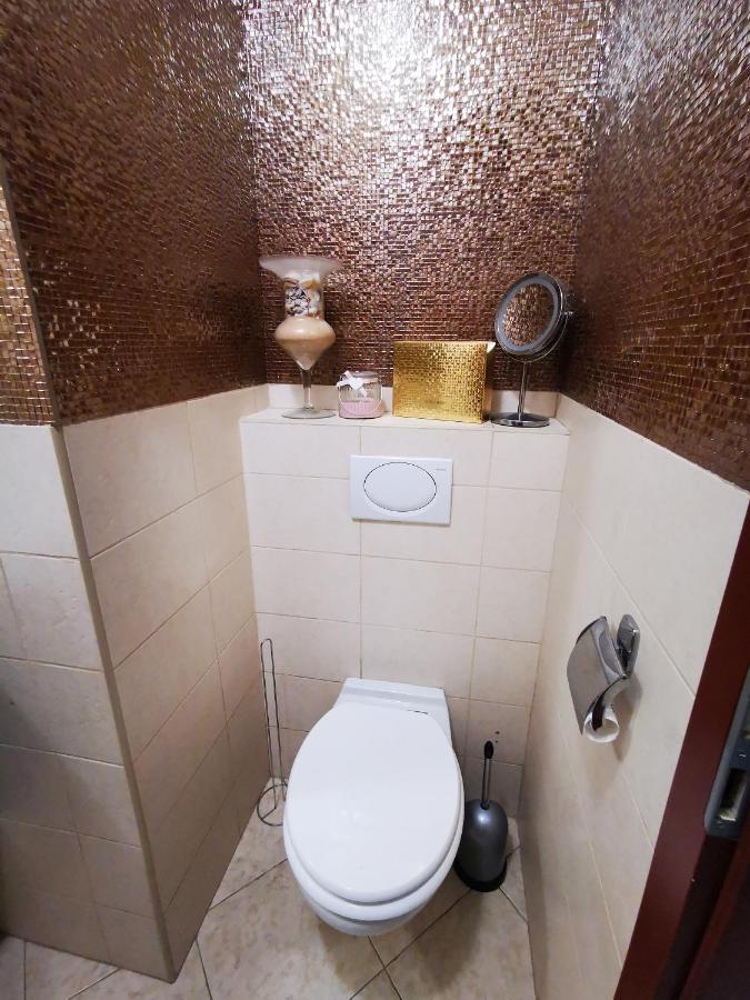 شقة Luxury Basement In The Surrounding Of Budapest Mogyoród المظهر الخارجي الصورة