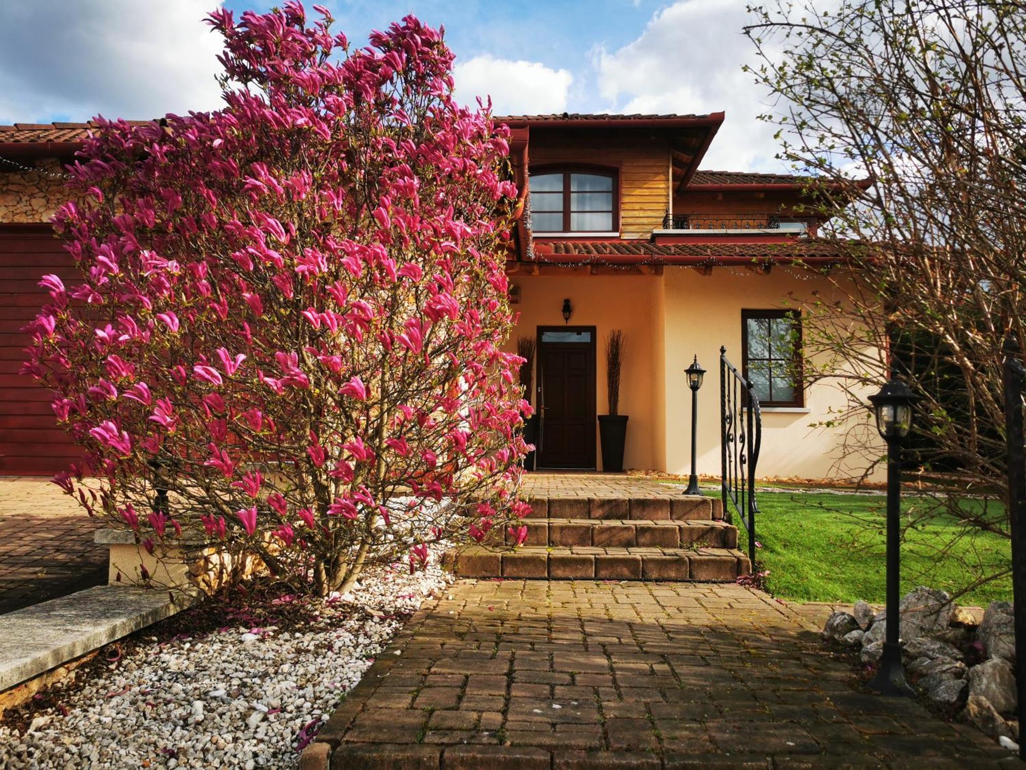 شقة Luxury Basement In The Surrounding Of Budapest Mogyoród المظهر الخارجي الصورة